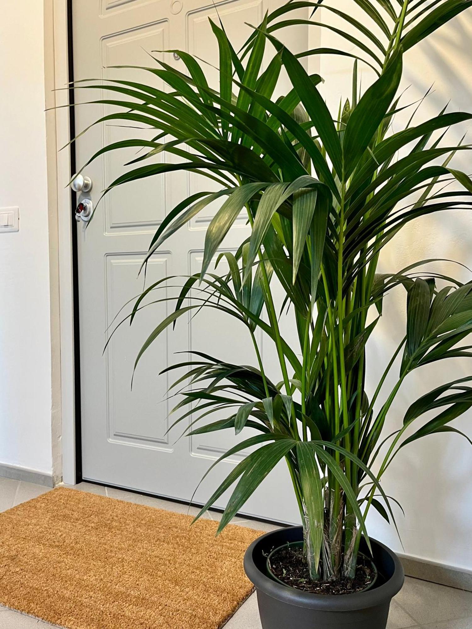 San Martino Holiday Apartments Nizza Monferrato Kültér fotó