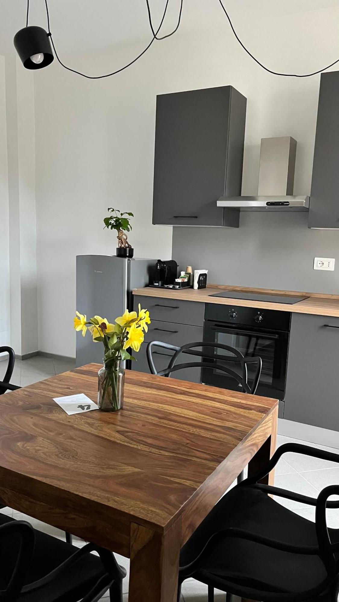 San Martino Holiday Apartments Nizza Monferrato Kültér fotó