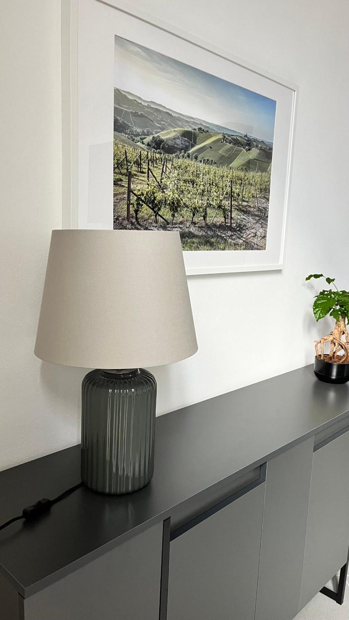 San Martino Holiday Apartments Nizza Monferrato Kültér fotó